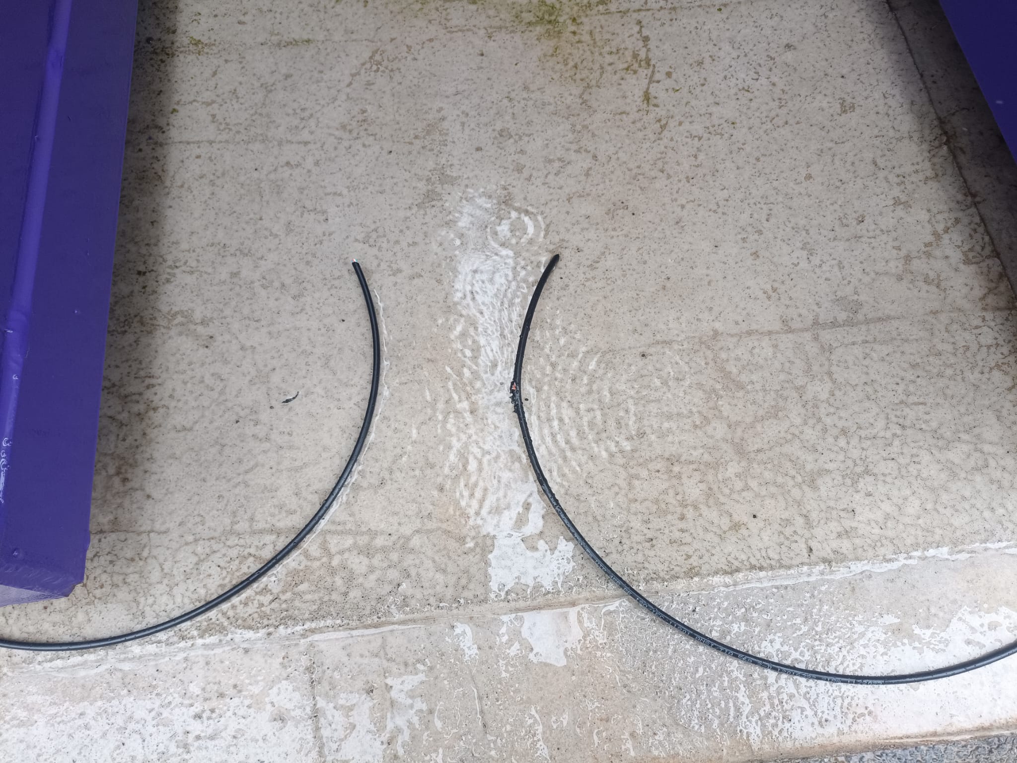 Cut and damaged CAT5.jpg